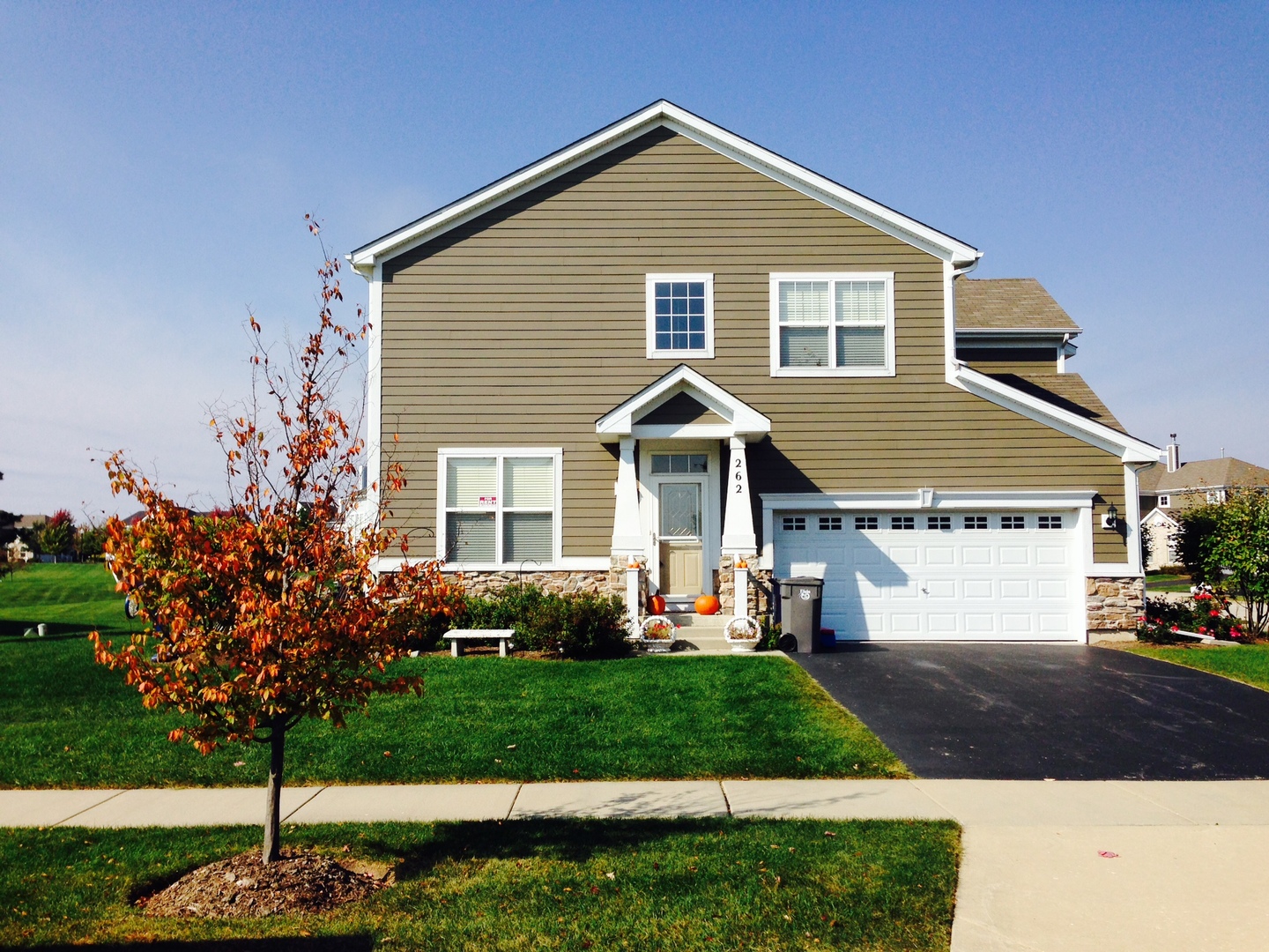 262 Copper Springs, ELGIN, Illinois