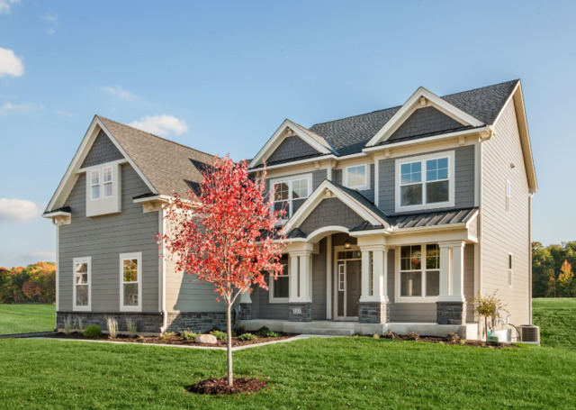 1461 Bethpage, Elgin, Illinois