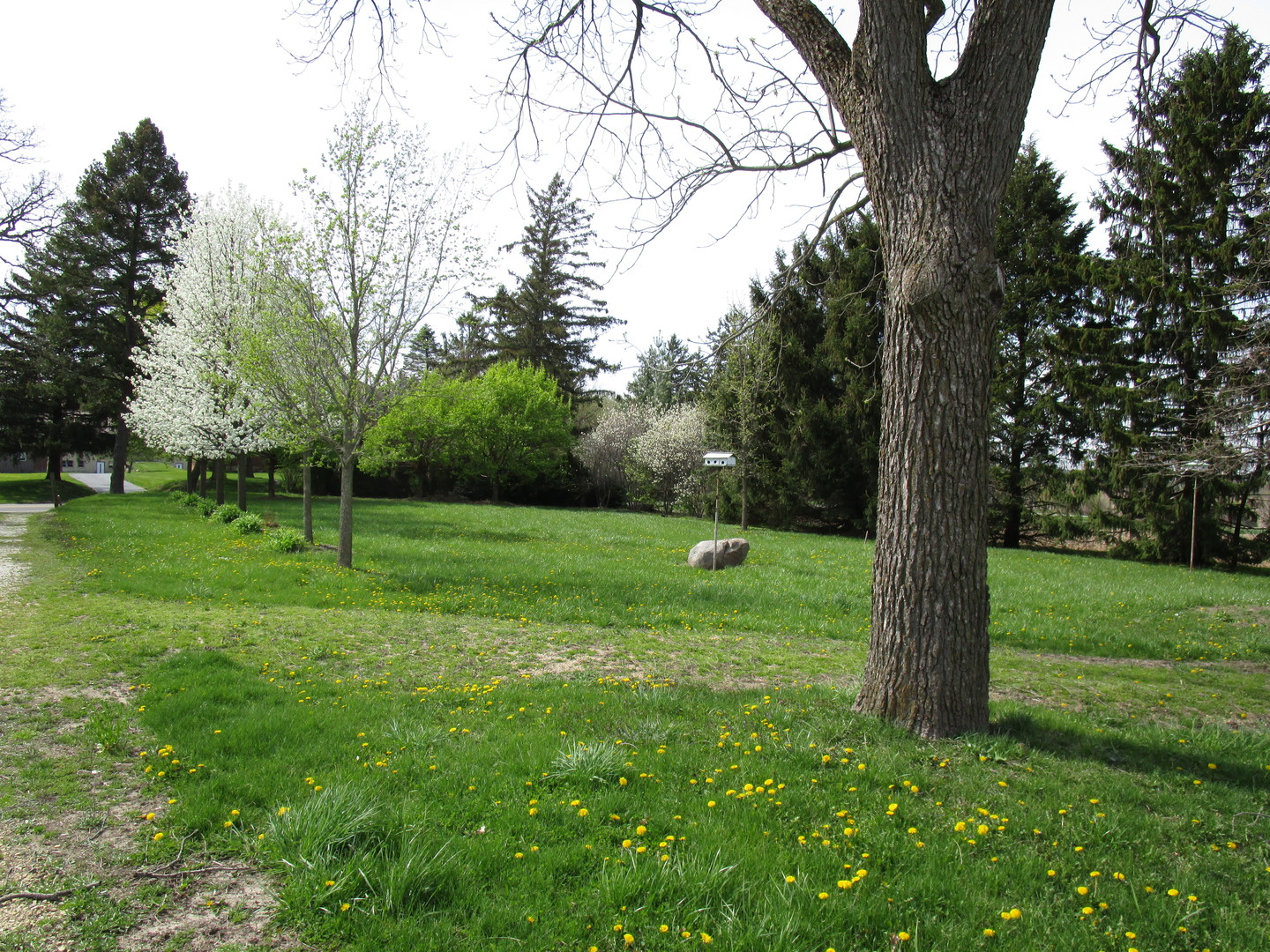 Residential Properties for sale in Harvard, Illinois Harvard MLS