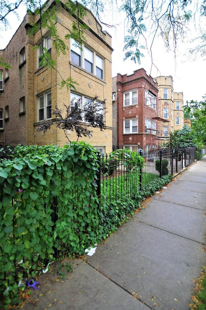 Albany Park Real Estate & Albany Park Chicago Information