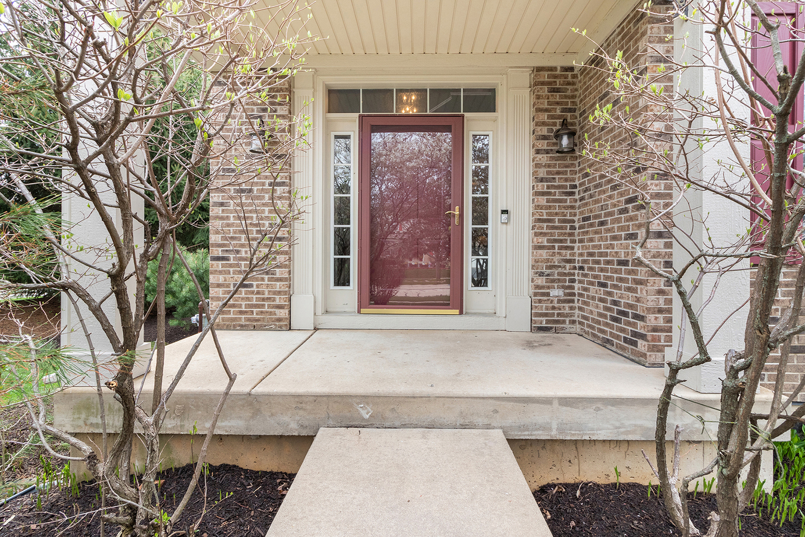 257 Woodland Park Circle, GILBERTS, Illinois 60136 Blue Fence