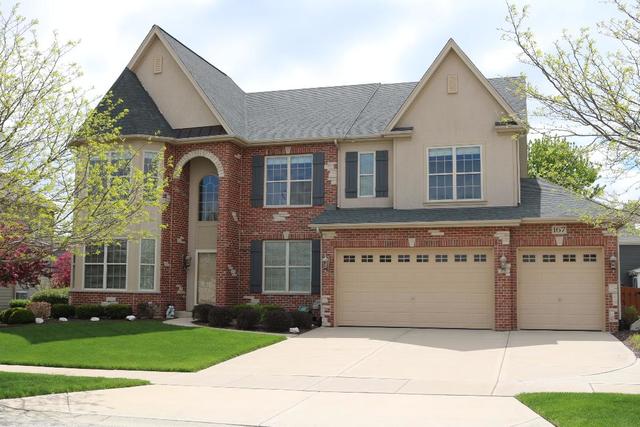 167 Freesia, ELGIN, Illinois