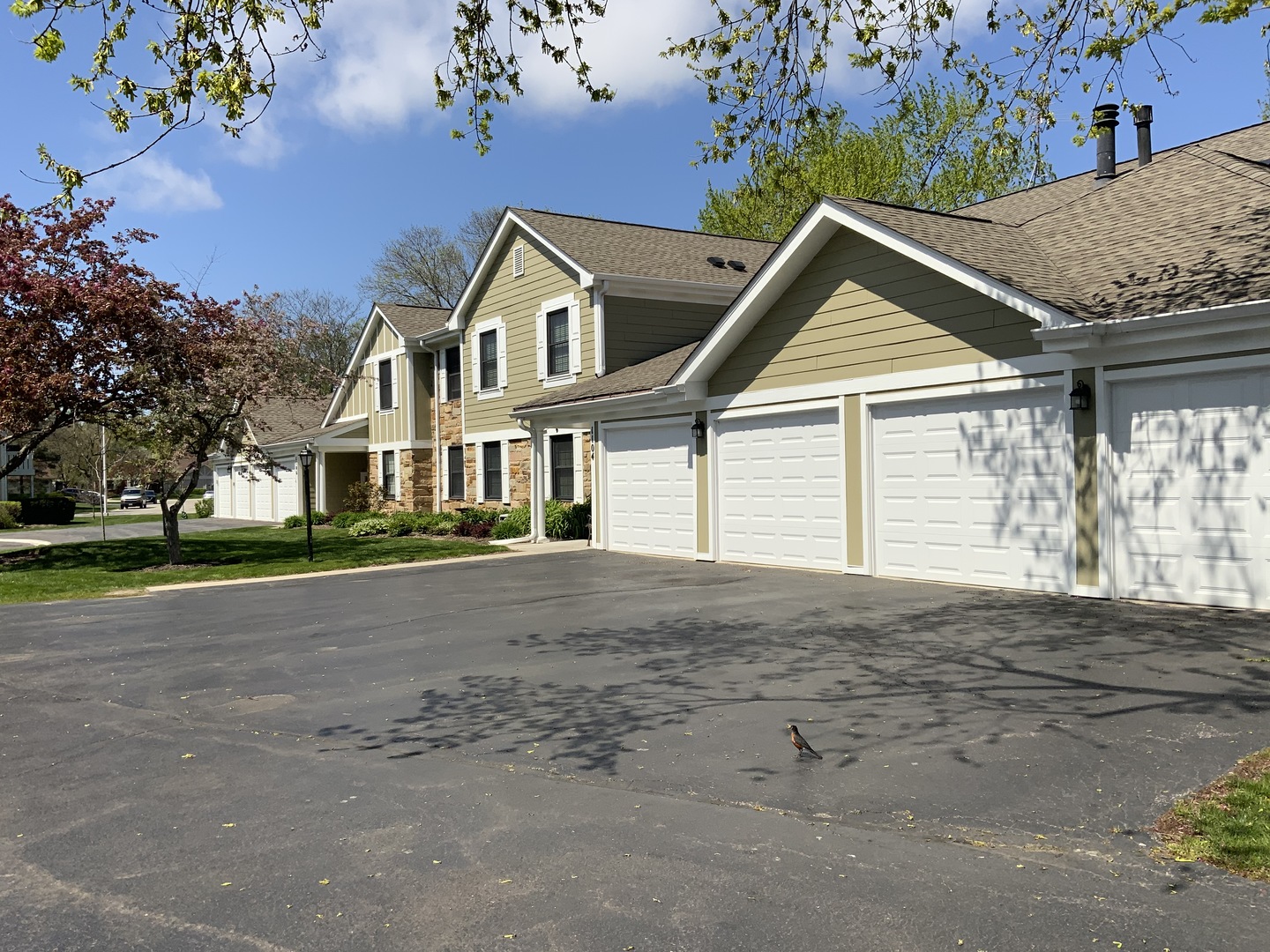 Lexington Commons in Wheeling IL Homes for Sale Lexington Commons in