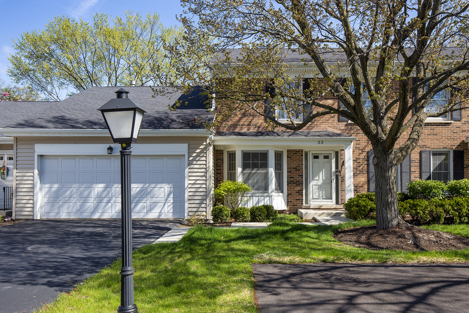 Ancient Tree in Northbrook IL Homes for Sale Ancient Tree in