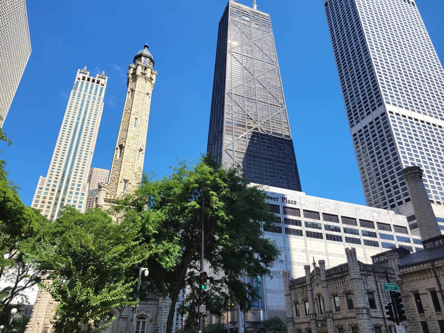 se permiten perros en los parques de chicago