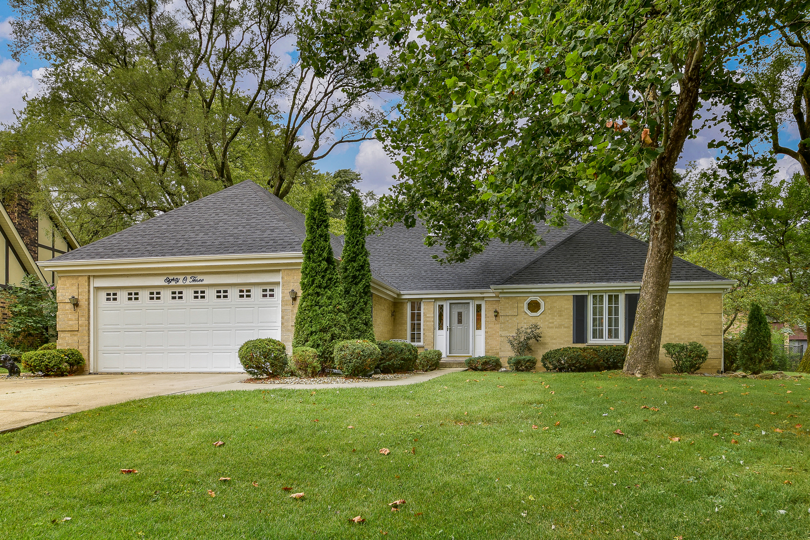 homes for sale in downers grove il