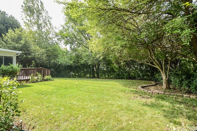 445 CAREN Drive