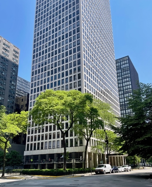 Plaza On Dewitt in Chicago IL Homes for Sale Plaza On Dewitt in