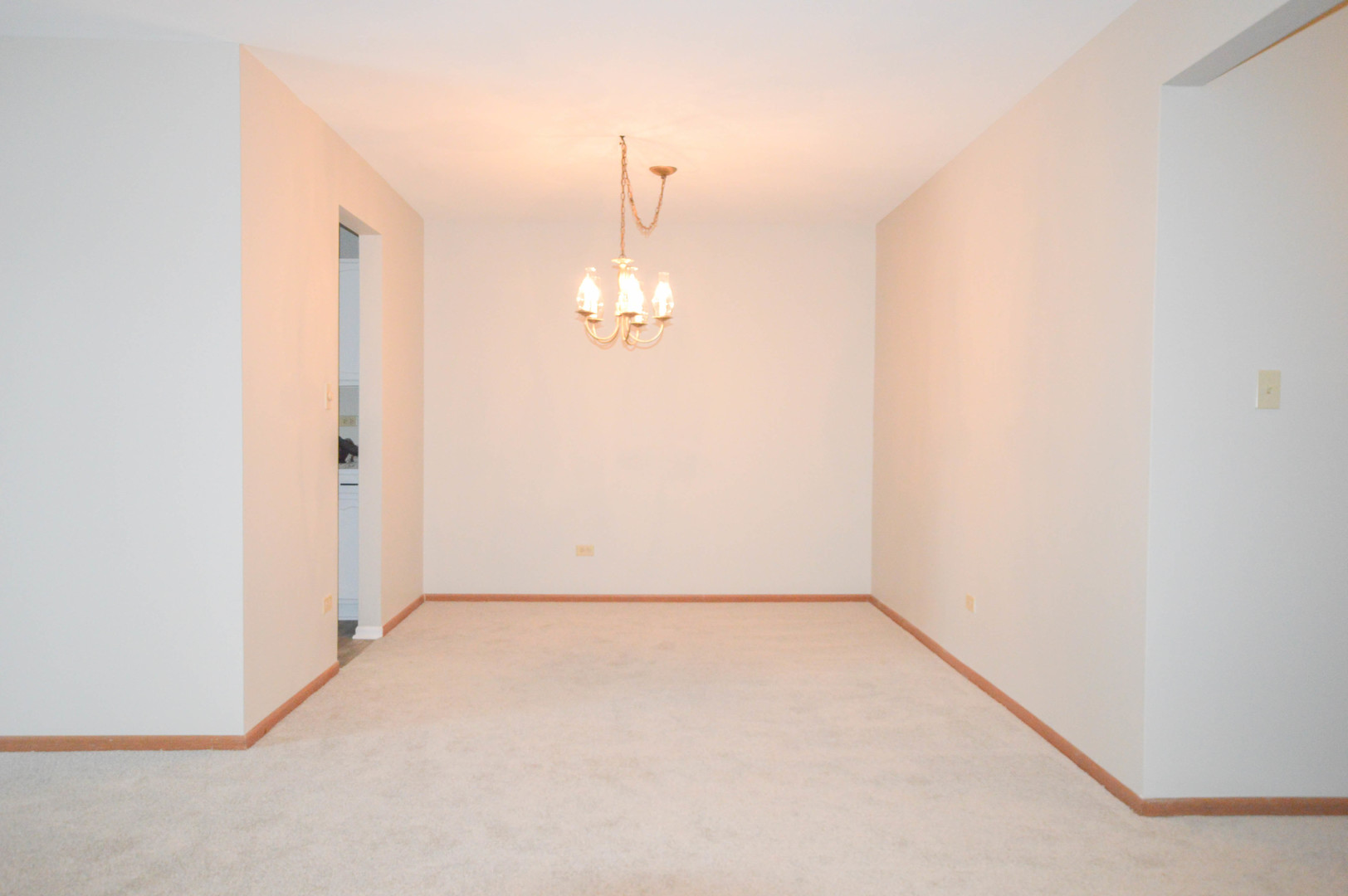 1630 W Partridge Court 3