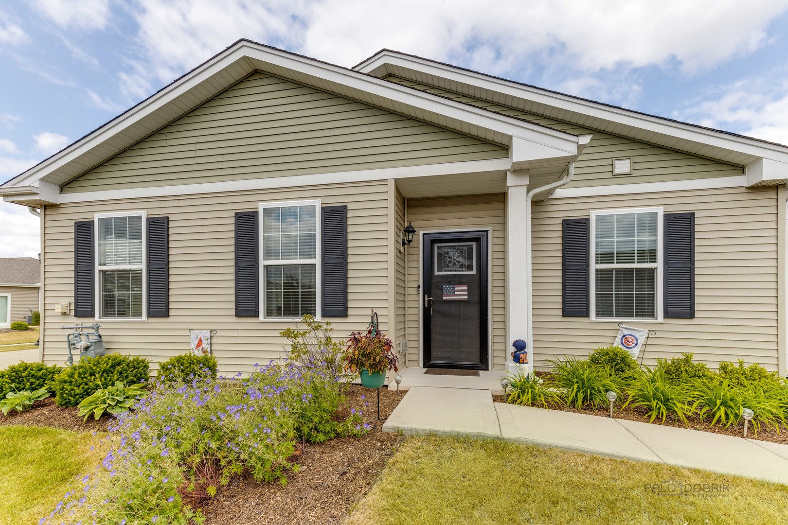 Carillon At Cambridge Lakes in Pingree Grove IL Homes for Sale