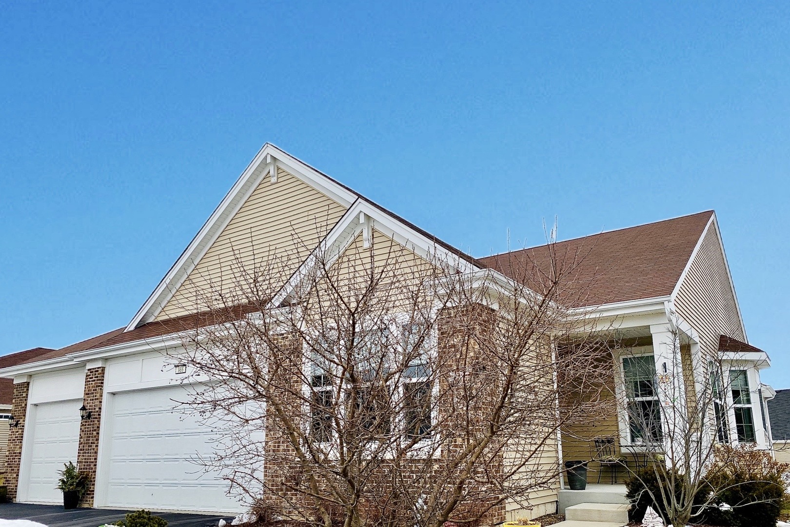 Carillon At Cambridge Lakes in Pingree Grove IL Homes for Sale