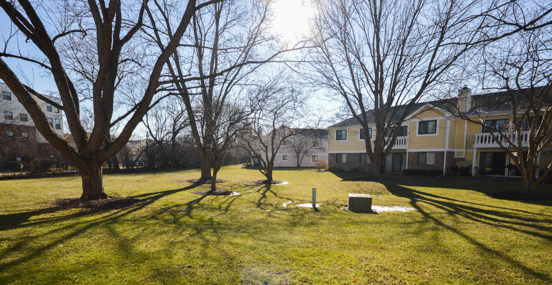 1019 Boxwood Court B1