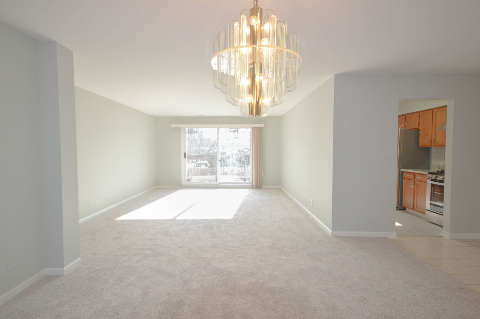350 E Dundee Road 101