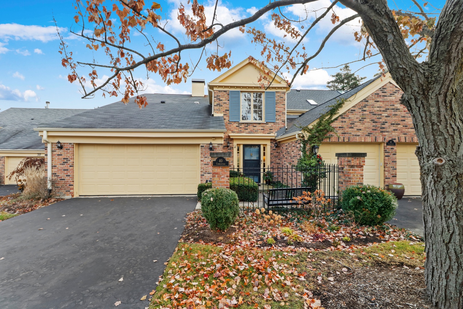 ancient-tree-in-northbrook-il-homes-for-sale-ancient-tree-in