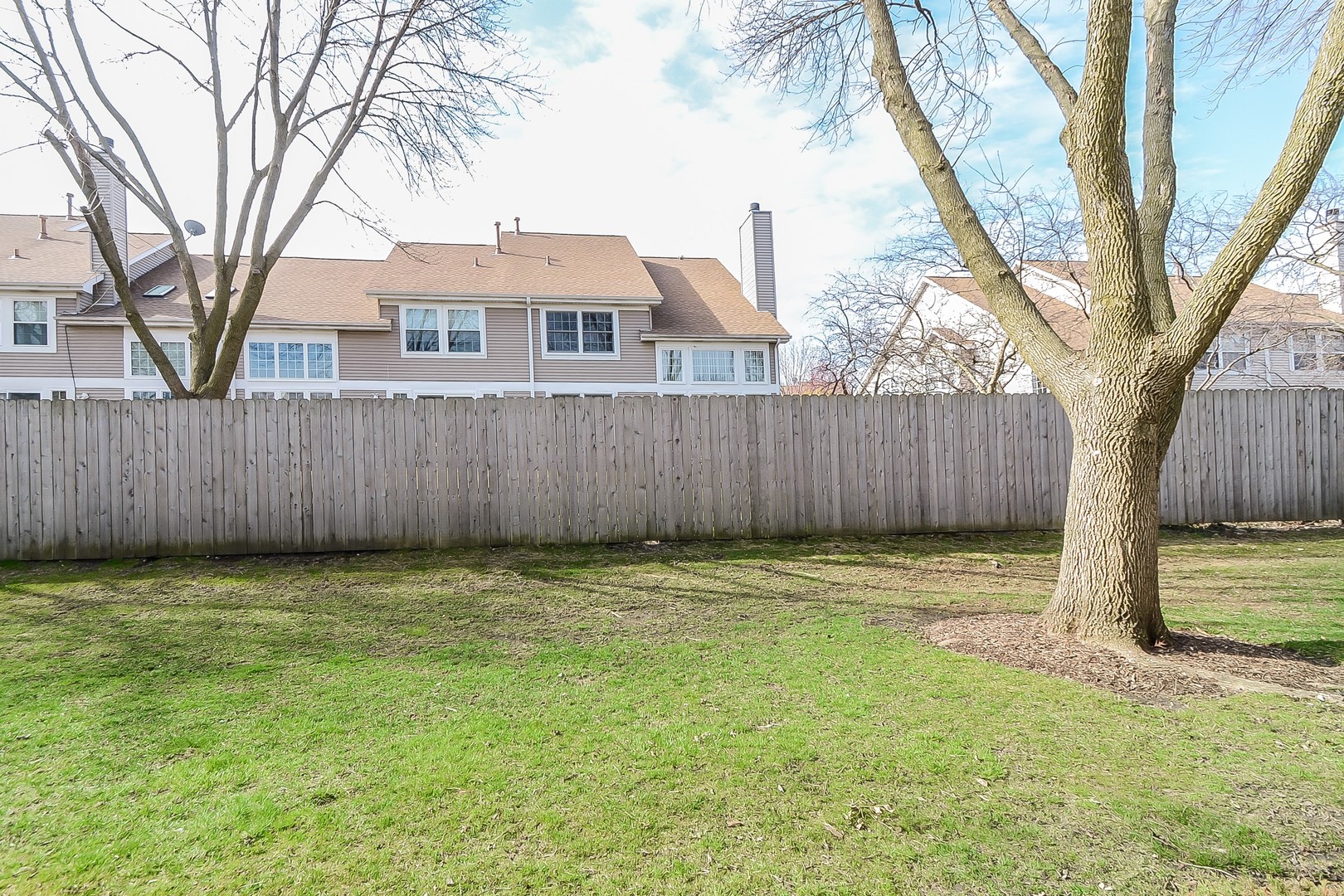 1159 MIDDLEBURY Lane D1