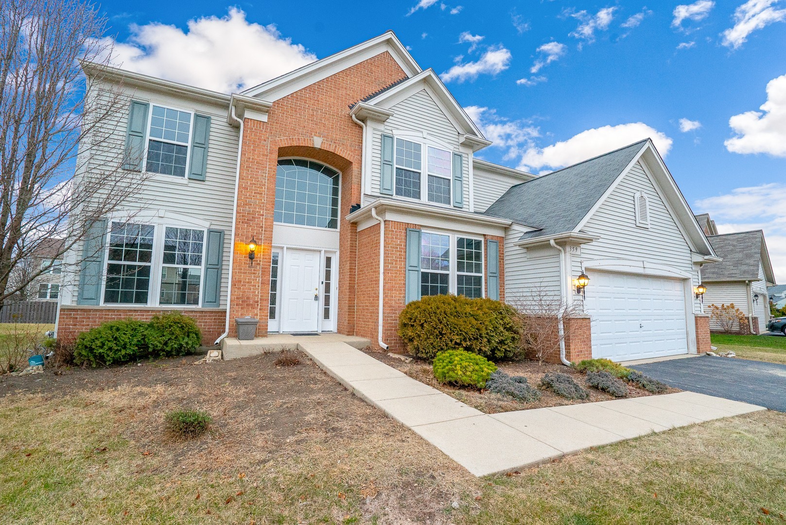 homes for sale in tonica il