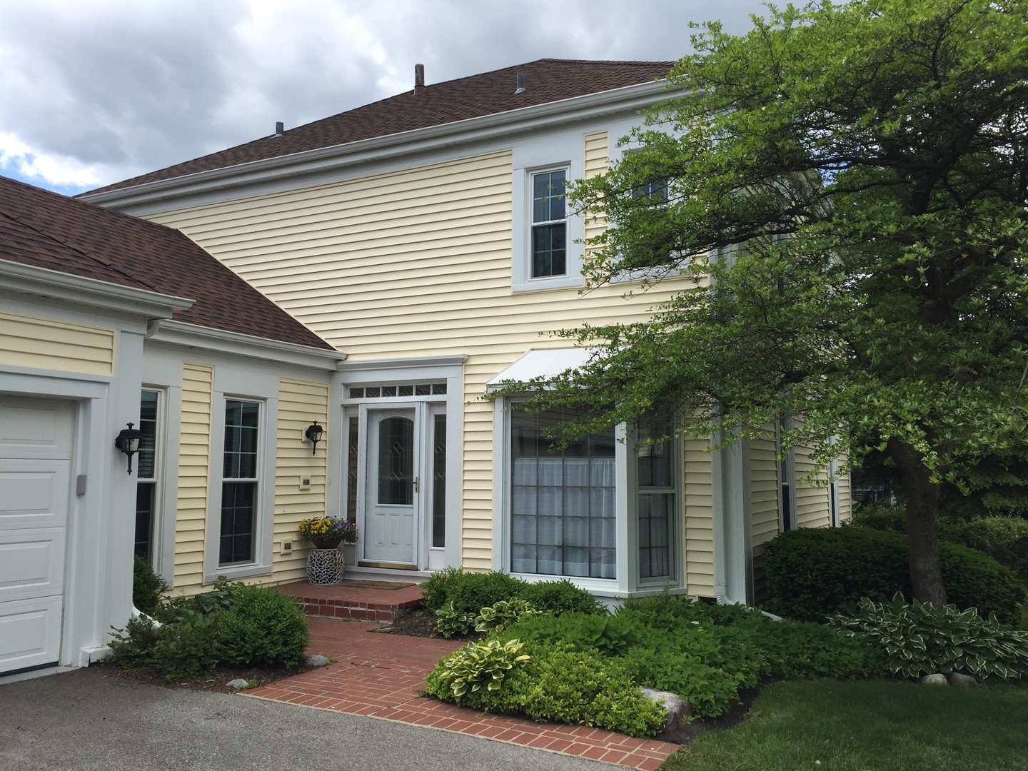 Ancient Tree in Northbrook IL Homes for Sale Ancient Tree in