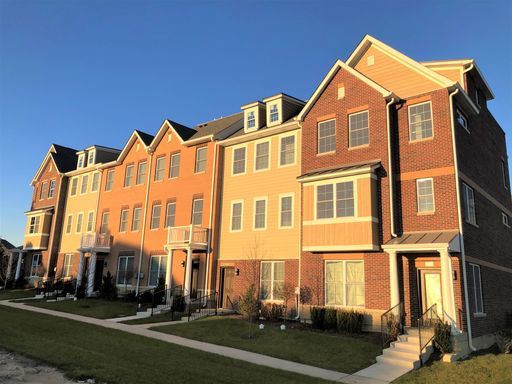 3 Townhouse in Orland Park
