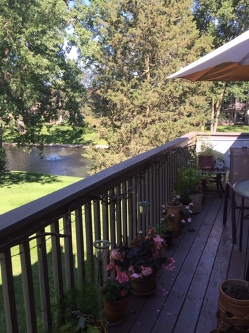963 Hidden Lake Drive
