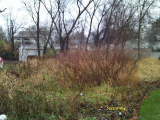 Photo of 1302 Ardmore Round Lake Beach IL 60073