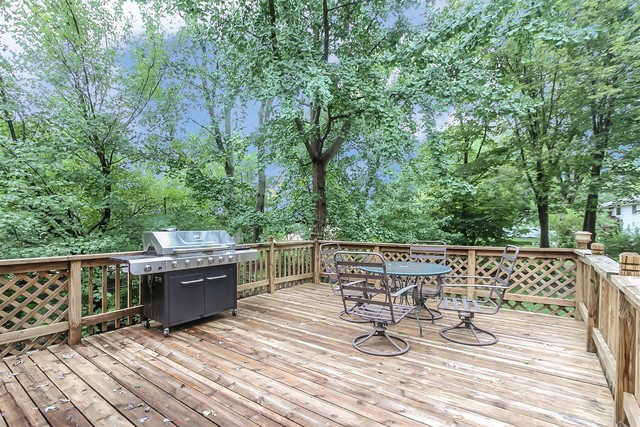 337 RUGBY Place