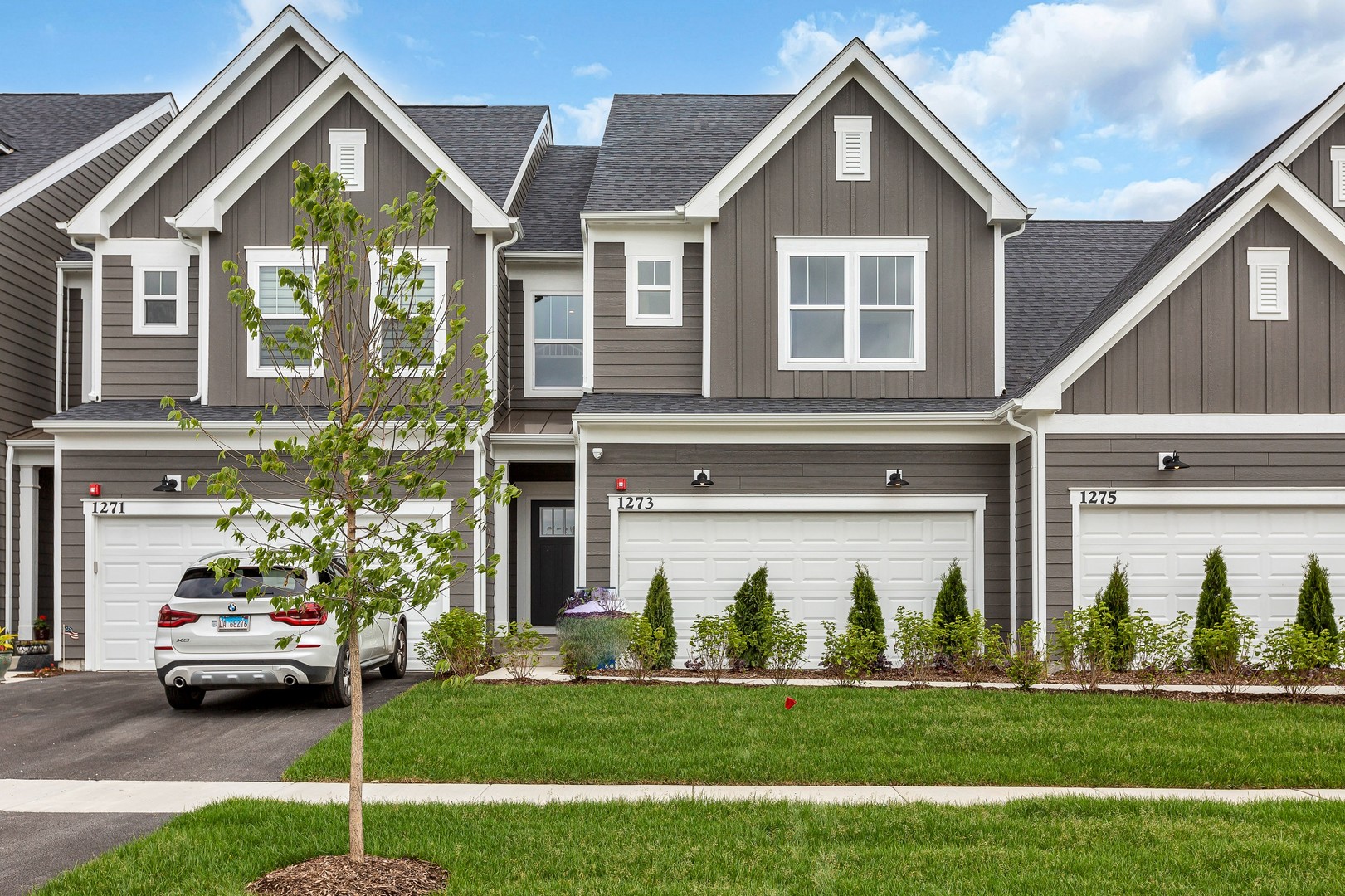 Naper Commons in Naperville IL Homes for Sale Naper Commons in