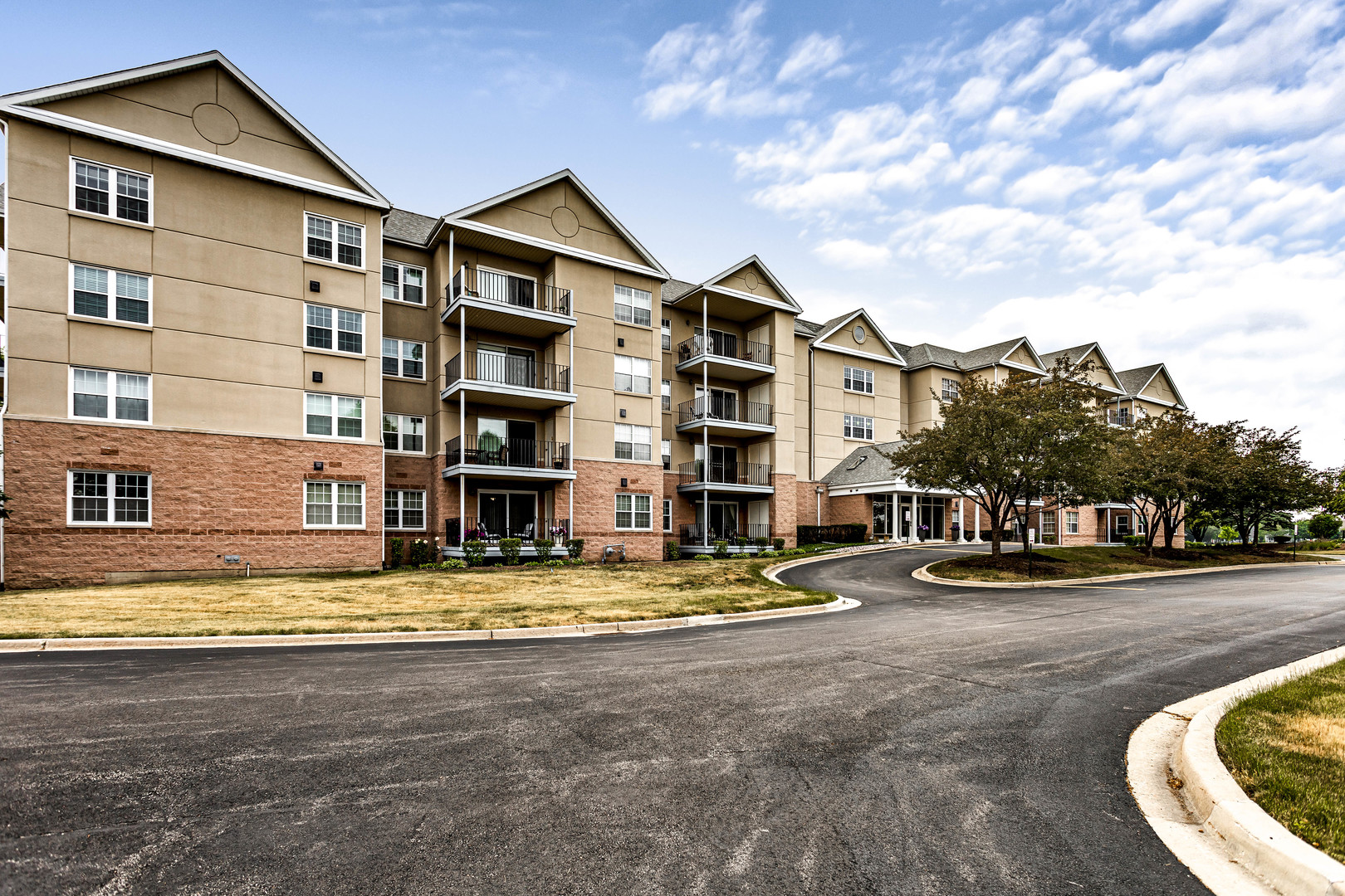 Carillon in Plainfield IL Homes for Sale Carillon in Plainfield Real