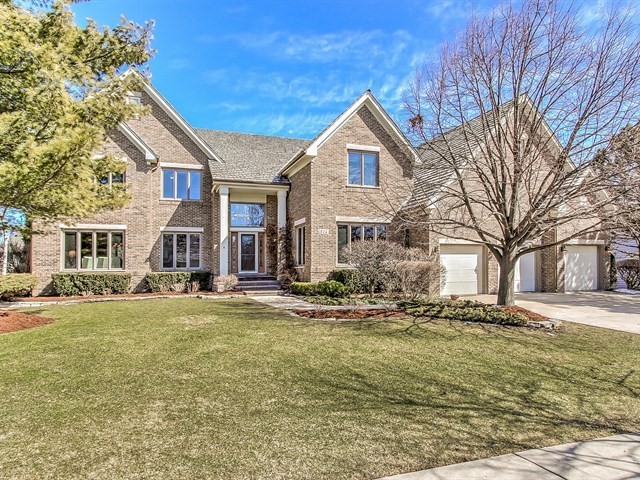 814 Winfal Drive, Schaumburg, IL 60173