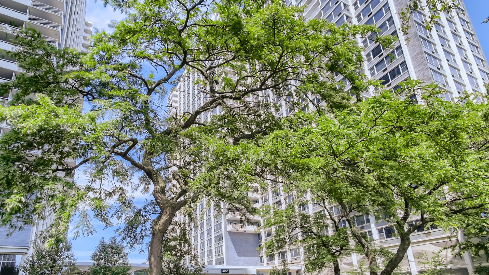 Imperial Towers in Chicago IL Homes for Sale Imperial Towers in