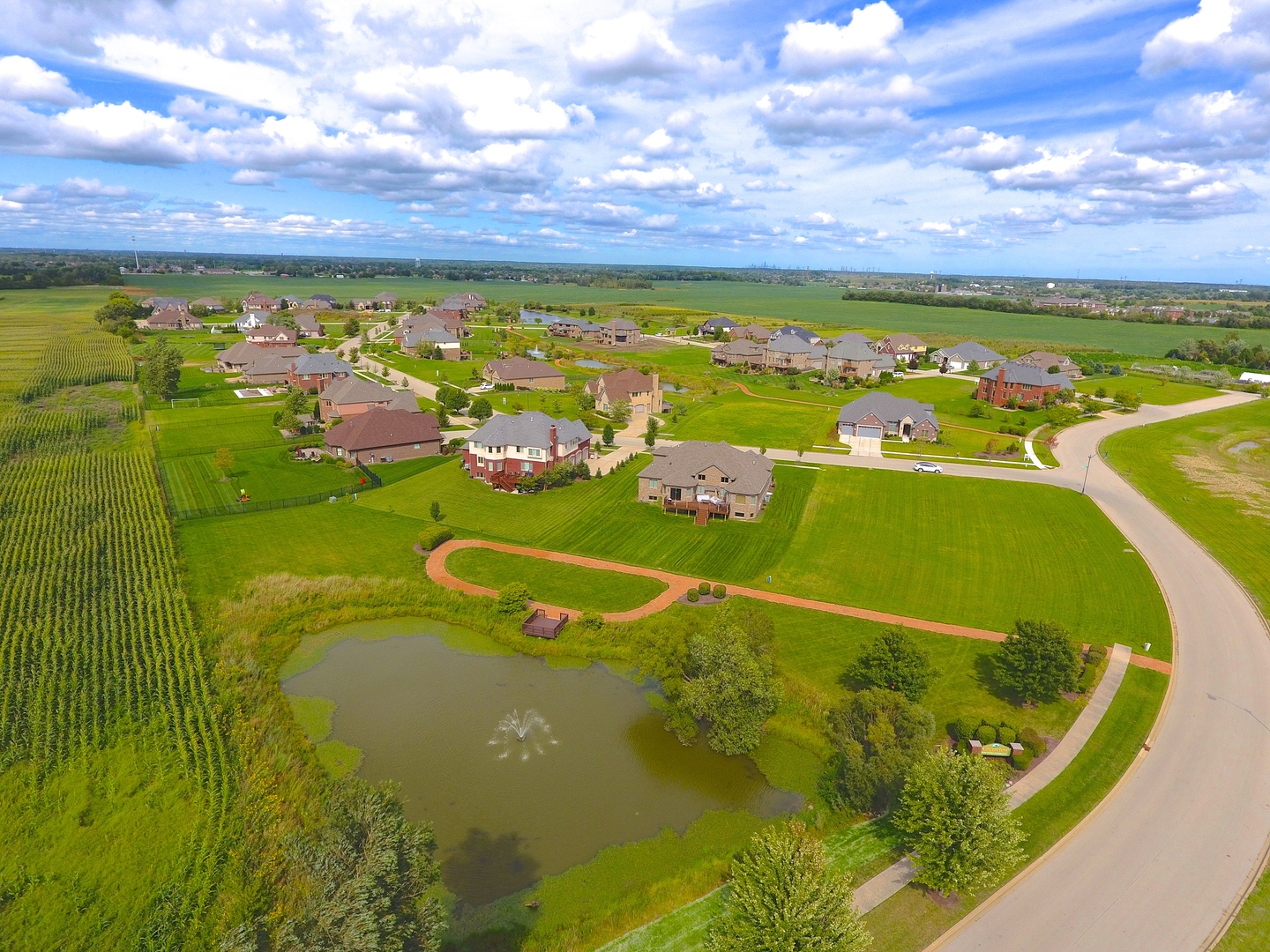 15655 Jeanne Lane Homer Glen IL 60491