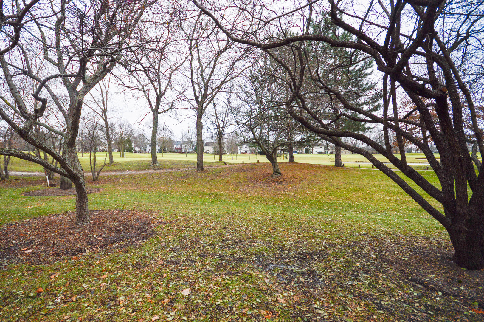 199 Willow Parkway