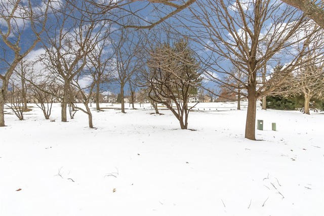 199 Willow Parkway