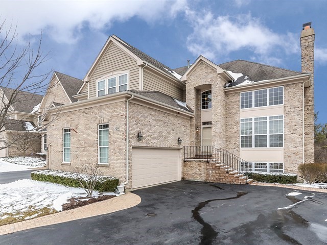 709 Stone Canyon Circle, Inverness, IL 60010